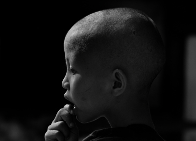 In Monasteries and pagodas: young monk