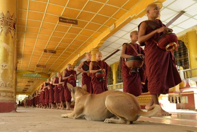 Trois Gemmes: Sangha, vivre d'aumone